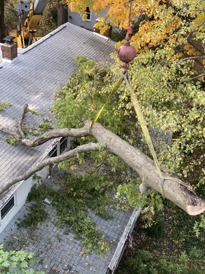 A crane lifting a large tree limb away from a rooftop