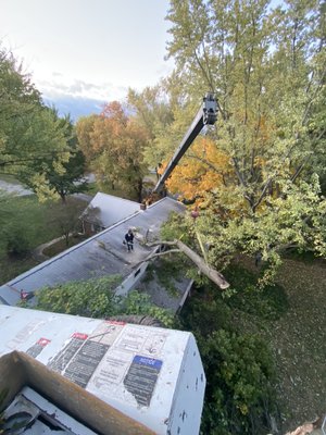 A bucket truck lifting a limb near a rooftop during a job